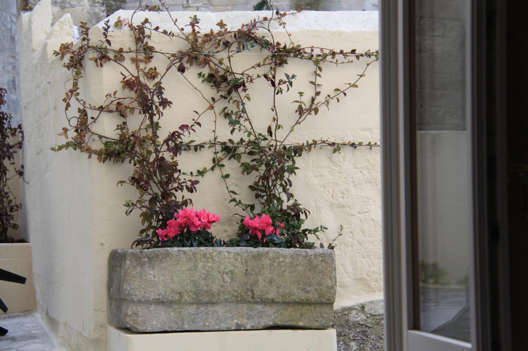 Alla Dimora Di Chiara Suite And Rooms 마테라 객실 사진